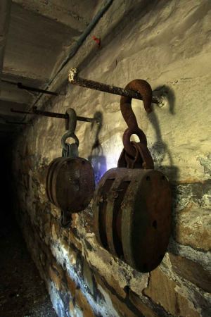 The service tunnels below the hospital. There was a rumor these tunnels were used to transport patients around the hospital.  